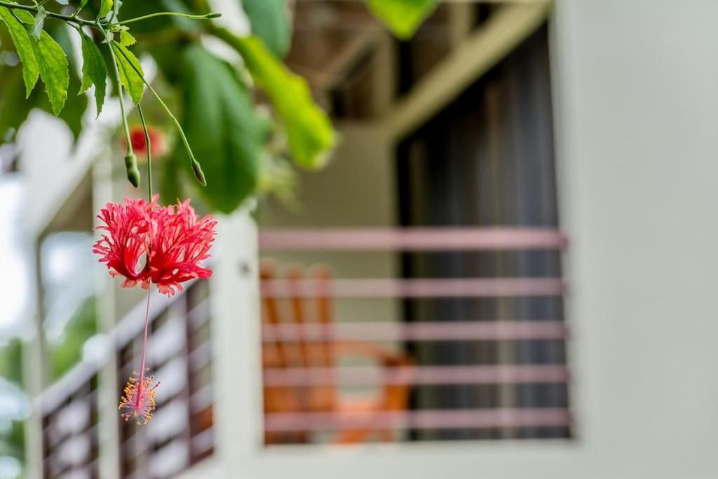 Hotel Torres Del Mar Puerto Viejo de Talamanca Экстерьер фото
